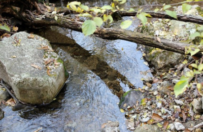 인류의 황금시대는?